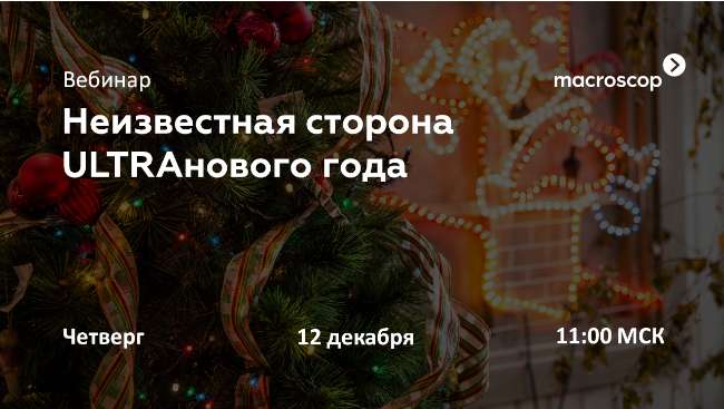 новогодний вебинар Macroscop